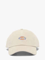 Pet Dickies Beige hardwick KD0A4ZAY